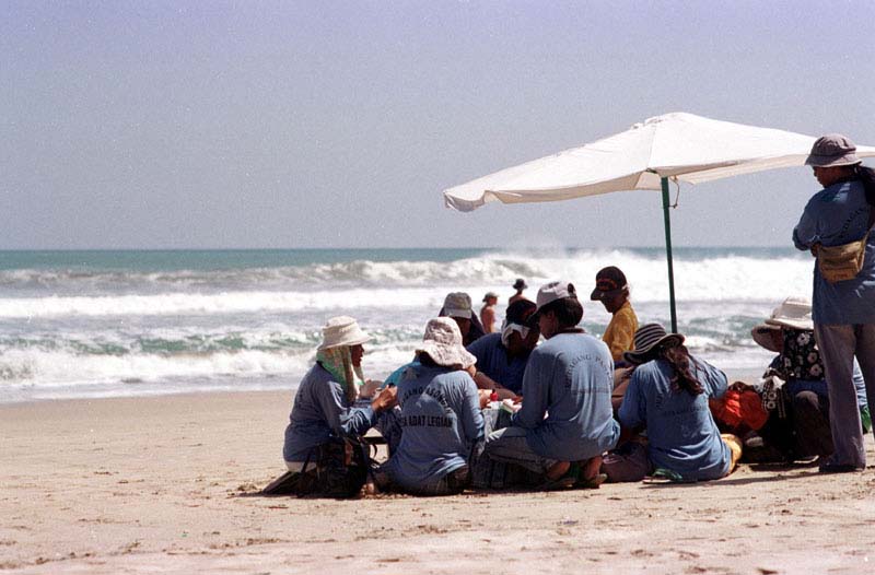 Kuta