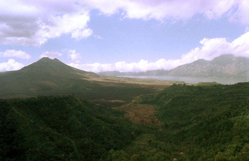 Kintamani