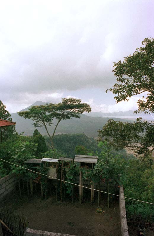 Kintamani