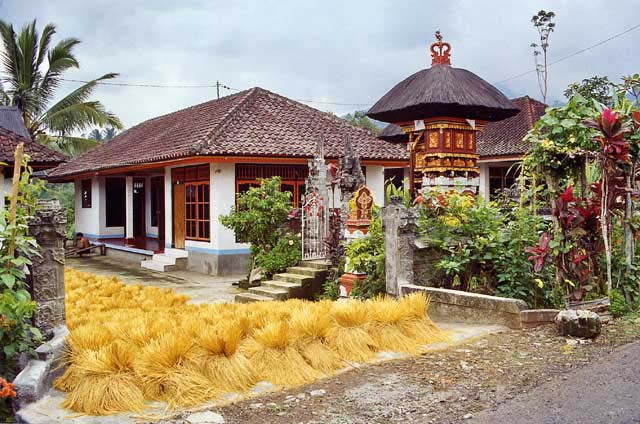 Rice-Terrace-10