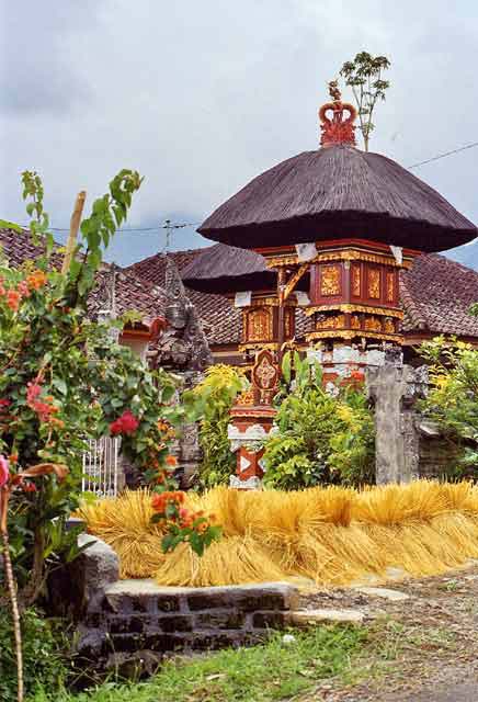 Rice-Terrace-11