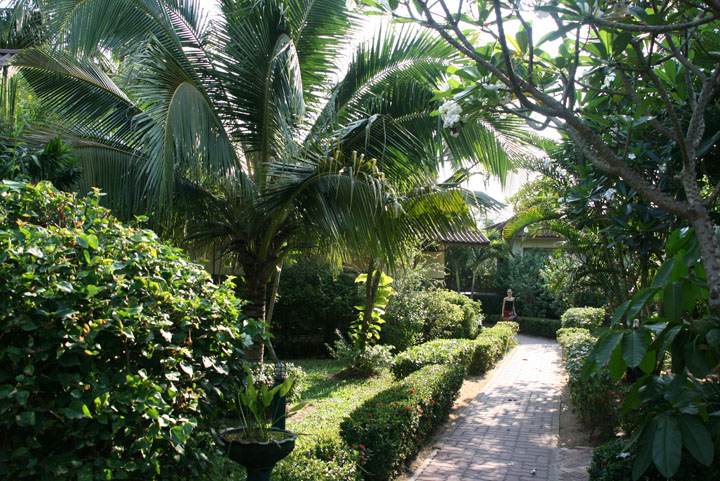 KoSamui_005