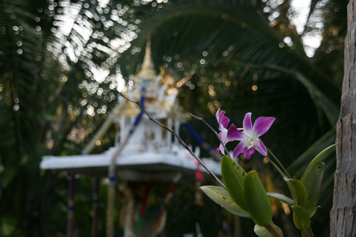 KoSamui_019