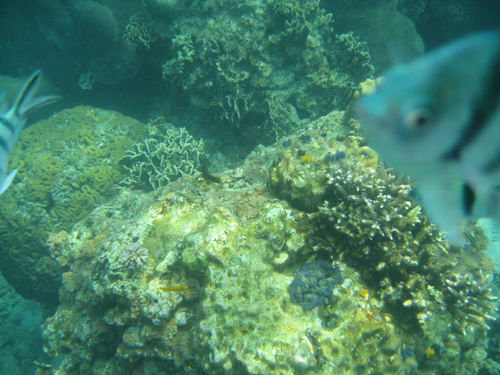 KoSamui_065