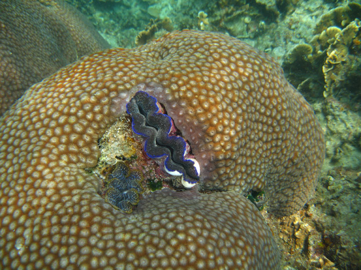 KoSamui_066