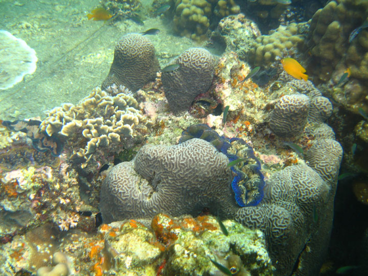 KoSamui_067