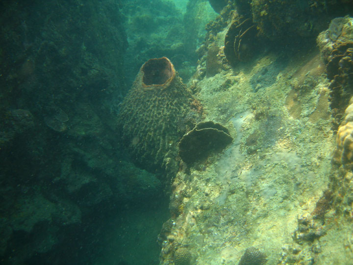 KoSamui_069