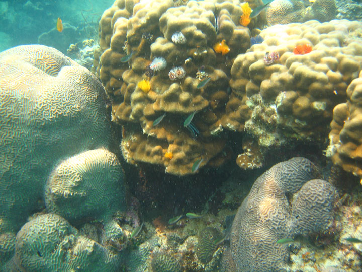 KoSamui_070