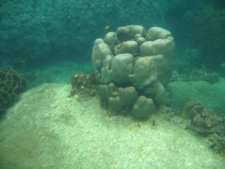 KoSamui_093