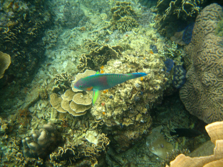 KoSamui_094