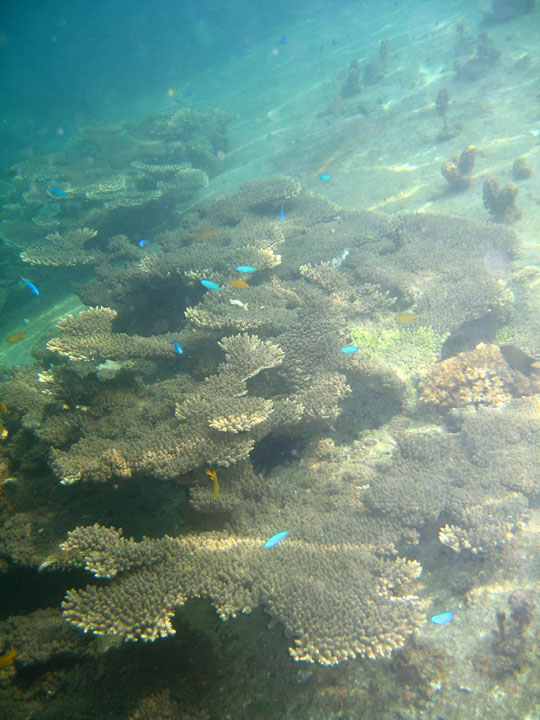 KoSamui_095