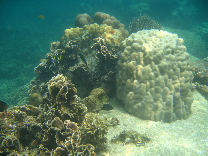 KoSamui_101
