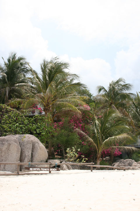 KoSamui_105