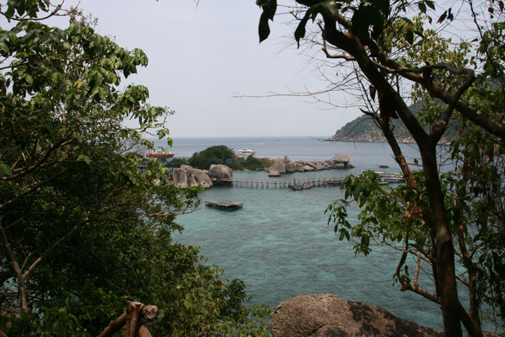 KoSamui_114