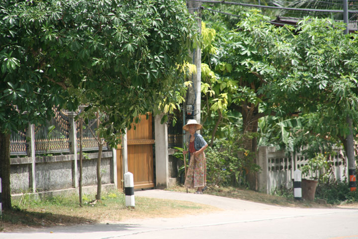 KoSamui_170