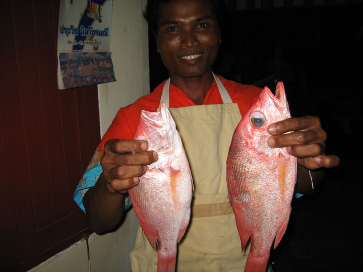 KoSamui_248
